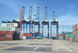 物流洗牌在即 黃埔海關(guān)破獲2億元快件走私大案，銷售代理鏈條浮出水面