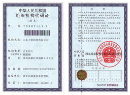 山東力創(chuàng)科技 能源計(jì)量與能效管理的全方位專家