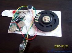 供應(yīng)發(fā)聲集成電路與聲音模塊——電子元器件領(lǐng)域的創(chuàng)新之聲